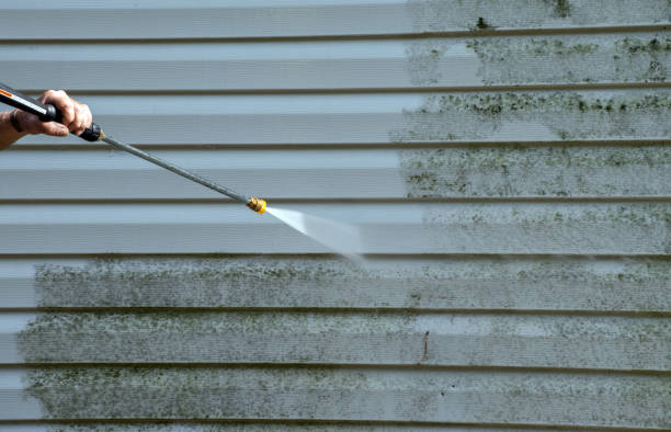 Best Sidewalk and Walkway Cleaning  in Hinton, WV